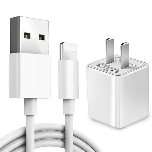 苹果充电器iphone66sp78plus充电头5xrxsmaxipad数据线2米数据线2条