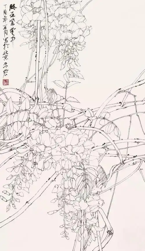 从写生到创作未君那些年的经典作品紫藤篇