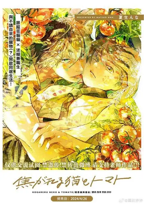 夏生んな ‖ 焦がれる猫とトマト ‖ 95  94在喜歡的人面前碰釘子