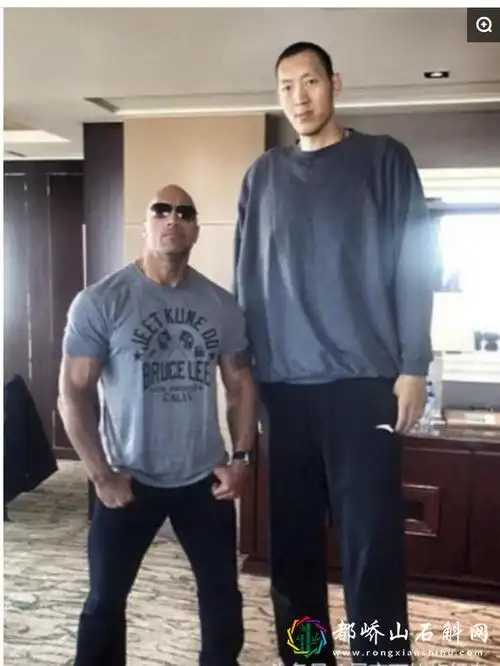 中国最高的人排名中国最高的人是谁身高多少