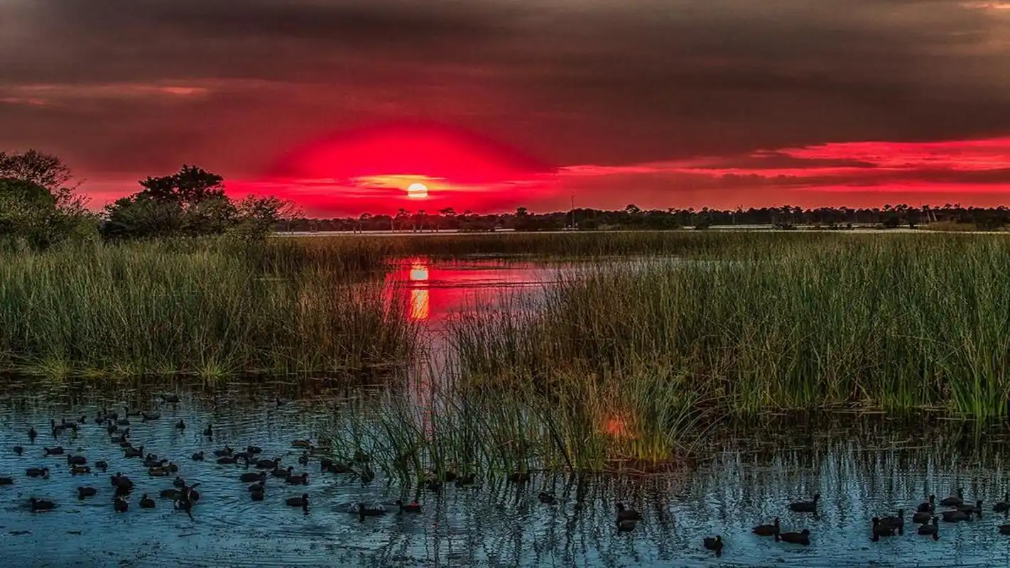 唯美落日自然风景桌面壁纸