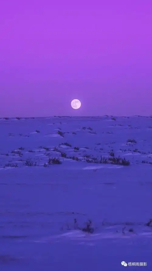 免费公开课|教你用手机调出梦幻般的紫蓝色