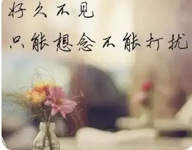 2,分手后最多也只是曾经同住一个屋檐下的客人,失恋是每个人的必经