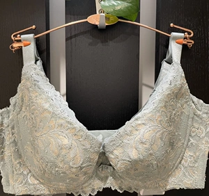 j123淘宝茜施尔21新品调整型薄款内衣收副乳上托侧收软钢圈文胸rc216w