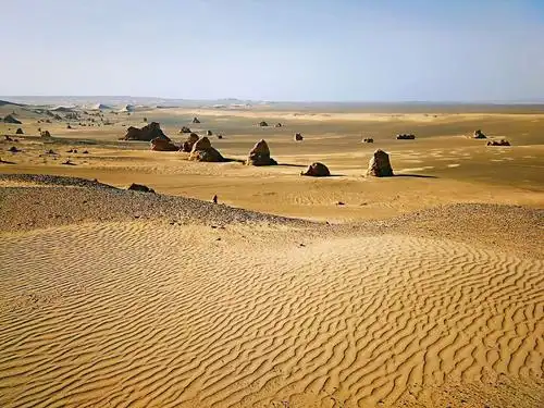 远古的记忆一一探秘罗布泊小南湖无人区