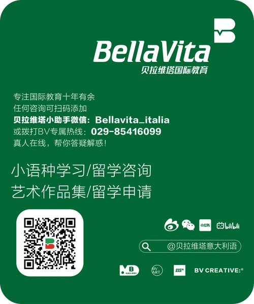 急听不懂意大利老师的音乐专业课术语bv带你两分钟翻转课堂