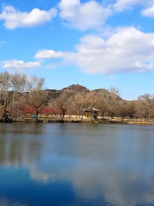 【原创手机摄影】山庄之冬01 如此清净『20161108』