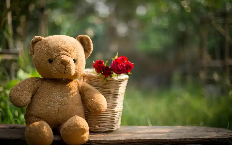 泰迪熊可爱玩具图片桌面壁纸