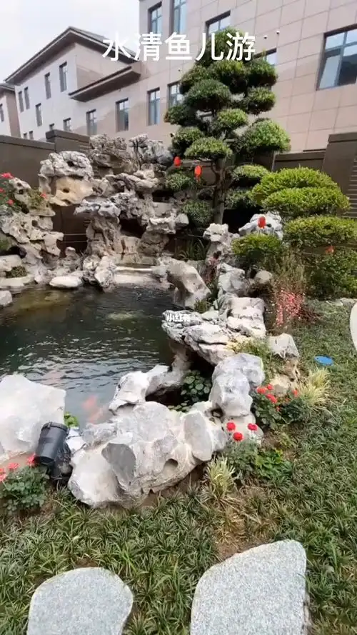 假山园林鱼池水儿清清鱼儿游太湖石假山