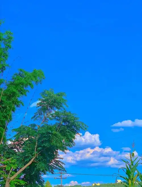 天空是蔚蓝色窗外有千纸鹤记得收藏哦