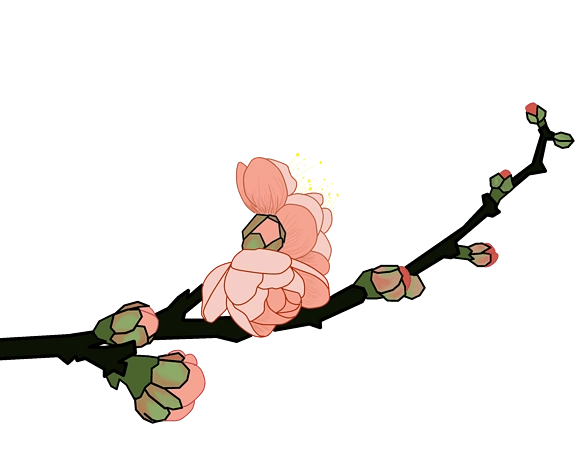 梅花枝干图片大全