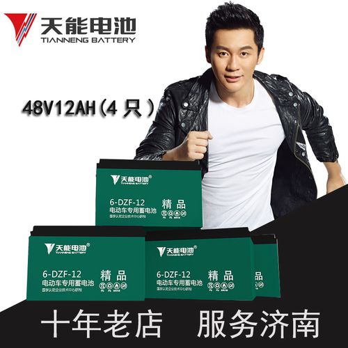 天能电池电动车专用