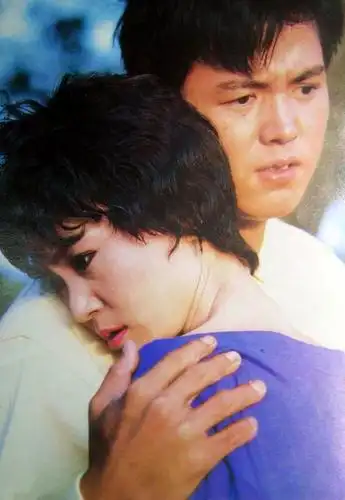 海鸥飞处彩云飞