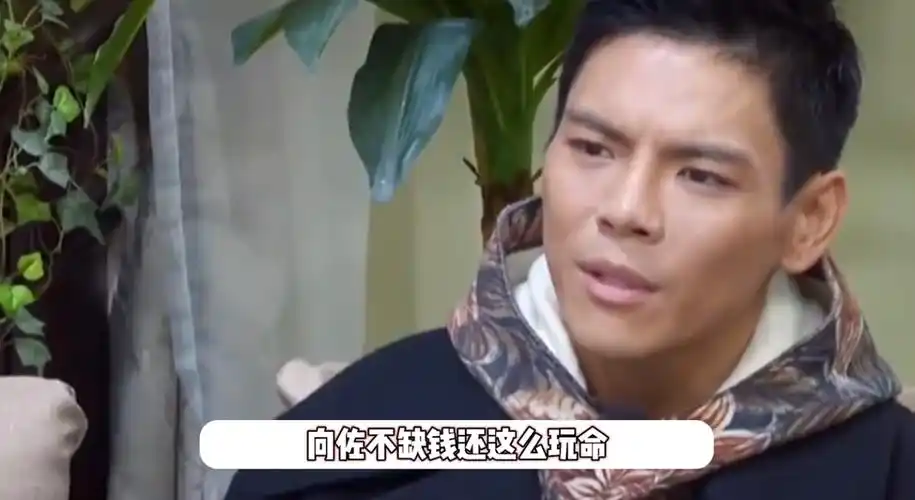 向佐称练武打戏全身是伤三分之二半月板被切除