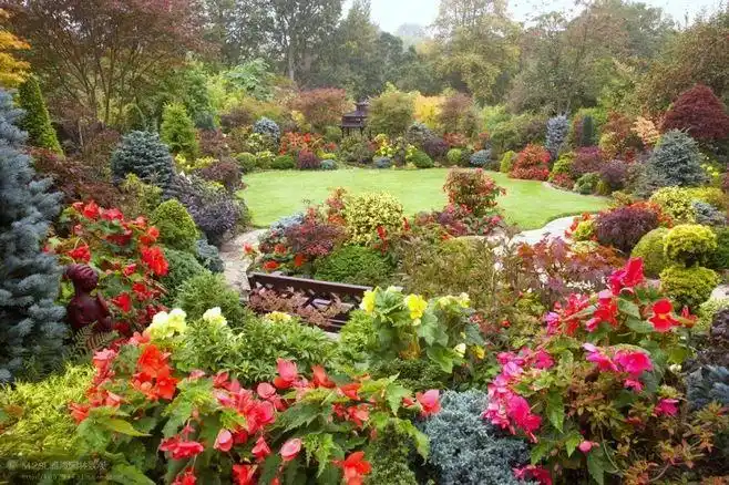 四季花园(夏天)