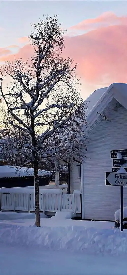 壁纸|你的iphone锁屏壁纸该换了