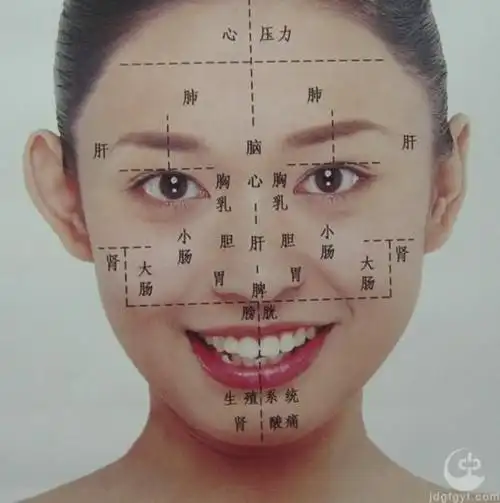 因为脸上有这九条经络