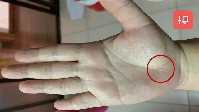 女人手相生命线短代表什么,生命线短就短命吗?很多人都错了