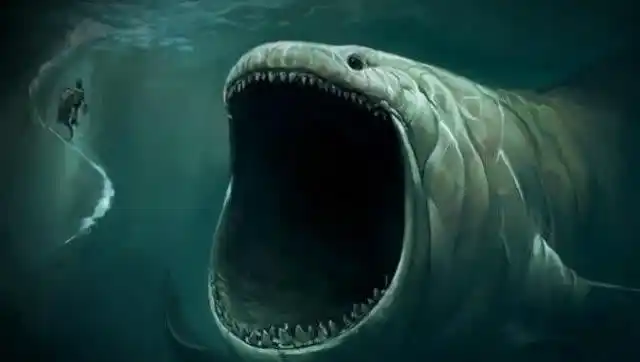 巨型生物_巨型生物_深海有超巨型生物吗