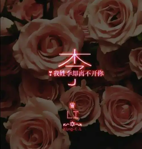 谁能帮我找个姓李的男生姓氏头像,谢谢