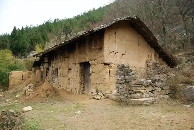 2005年,弟弟不幸遇难,哥哥不惧世俗迎娶弟媳为妻,婚后再遇挫折