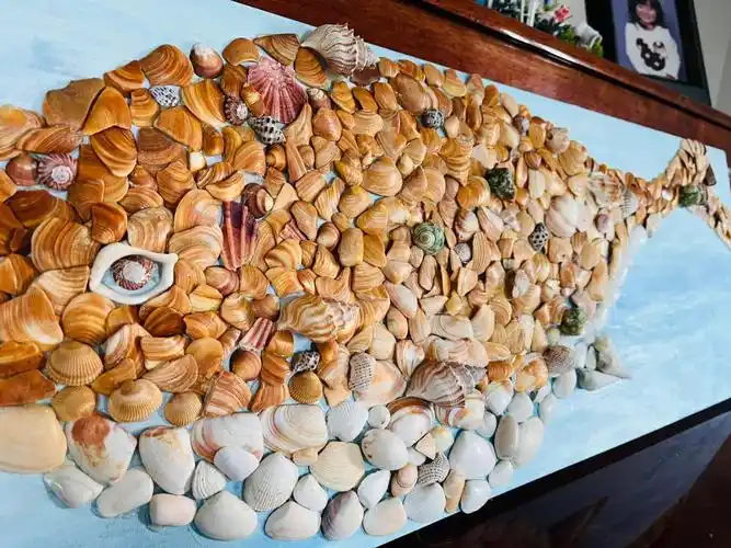小妞的贝壳艺术创作