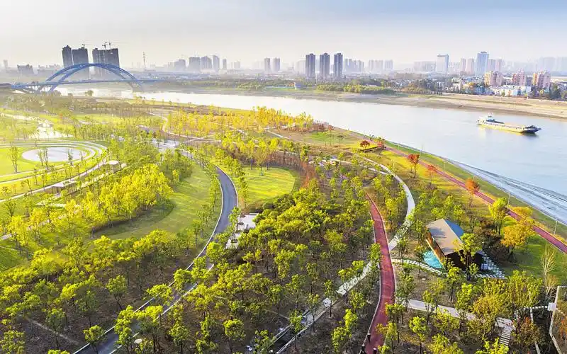 武汉市汉阳区长丰桥附近,汉江江滩公园风景如画.这里曾是一片11.