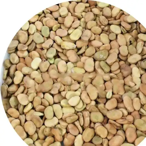 田益种子 大白胡豆种子批发 蚕豆种子 秋播蚕豆种子 1千克图片