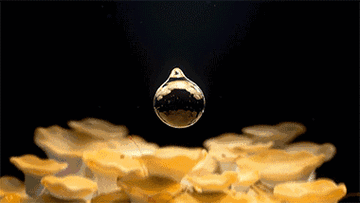 这是奥美为可口可乐旗下的天然水品牌i lohas打造的全新广告,通过水滴