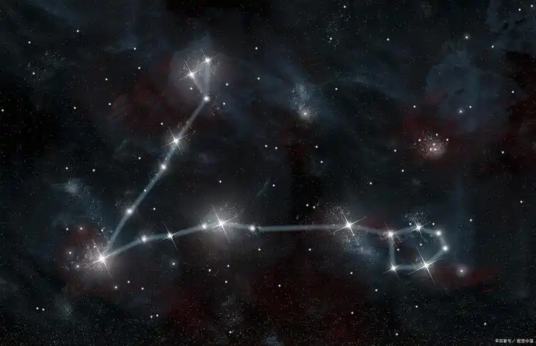 我们都是双鱼座