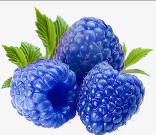 为什么我们看不到蓝色食物的存在?它会影响食欲吗?