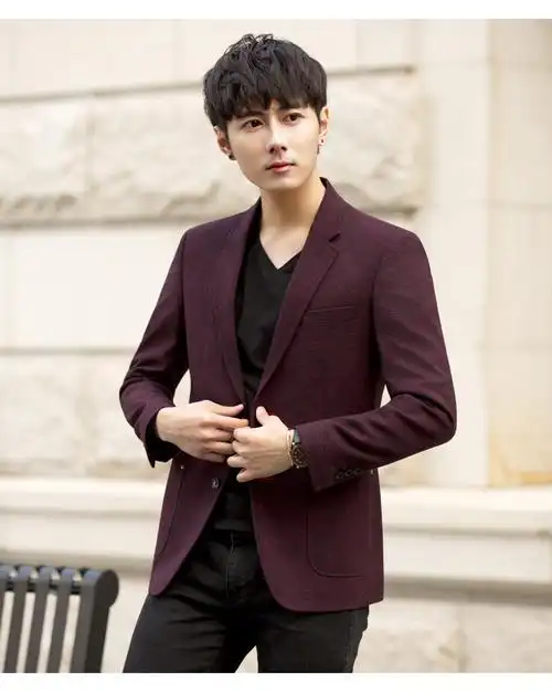 汤河之家 ruipe新款休闲西服男春秋修身两扣韩版小西装青年上衣单西装