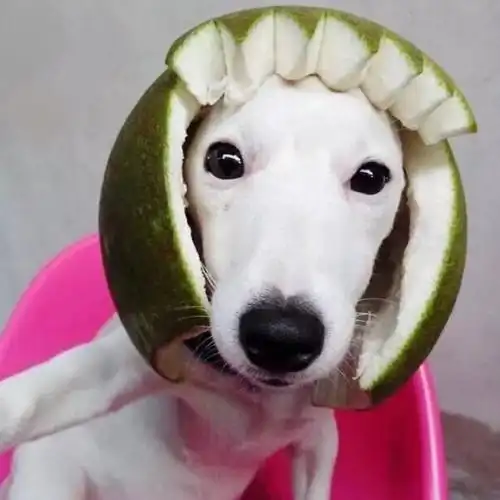 父女逗比_搞笑头像图片_扣扣居