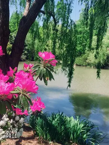 寻找春天的足迹(邹梓蔓,董彦彤合作完成)