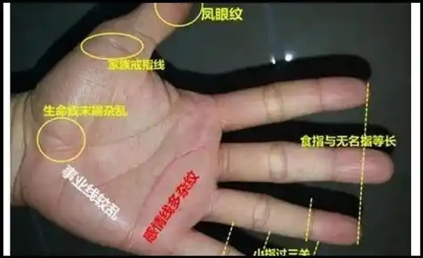 这个网站的名称测试采用网站传输模式,所以名称测试的结果可能会被