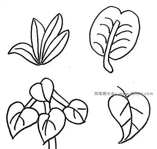 怎样画一个植物简笔画