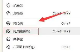 网页截图截长图教程-电脑教程
