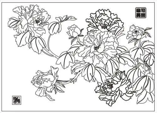 简笔画牡丹花开富贵