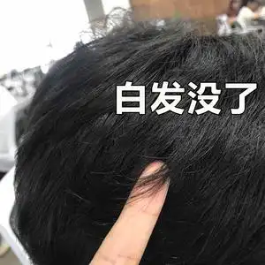 何首乌治白发变黑发治根转黑草本纯植物少年白头发克星洗发水神器