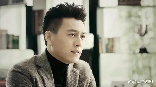 在众多靳东主演的电视剧中,有几部作品尤为出色,堪称经典