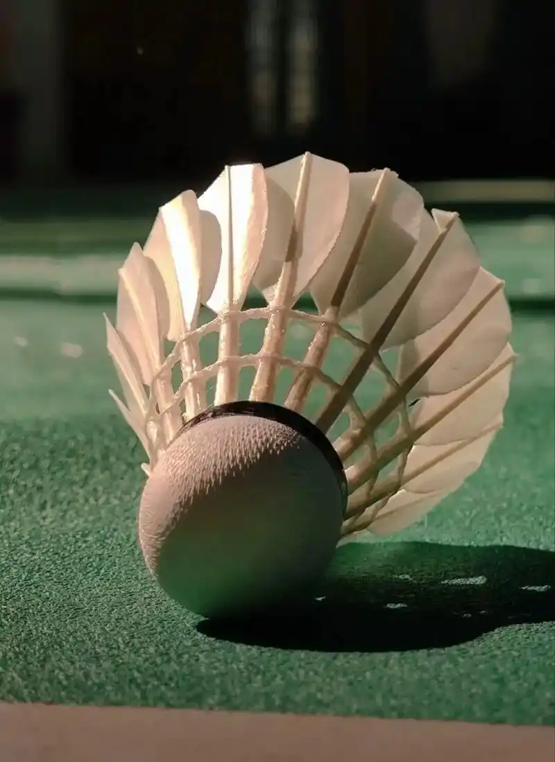 来日方长,热爱与众望终会殊途同归.#文案#羽毛球#羽#壁纸 - 抖音