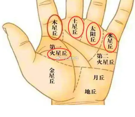 算命解说 占卜师 八字合婚##1111脱单锦鲤##暖冬许愿季