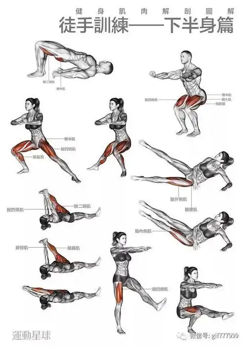 一组图告诉你全身肌肉各种器械怎么练