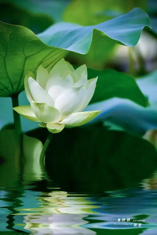 查看大图     曝光:   1/6400 sec        光圈:   f3.