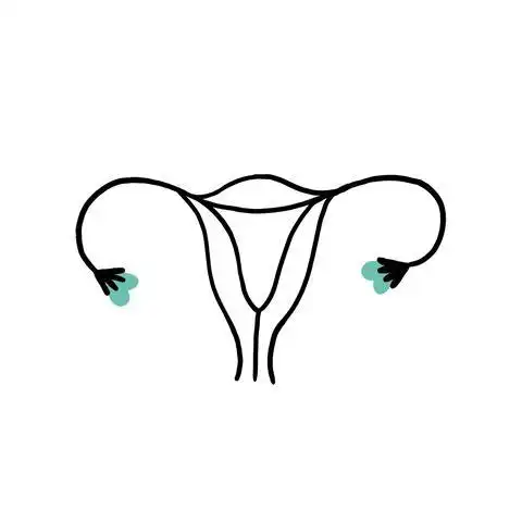 短短90秒就能再也不来月经,还有这种好事?