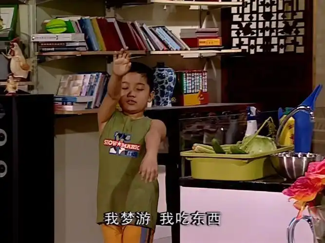 【家有儿女 第一部】25 小汇报