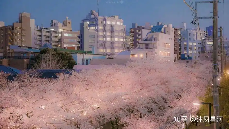 有哪些少女心爆棚的背景图