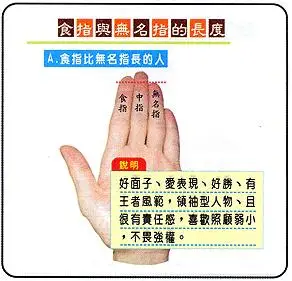 手指的长度是越长越好吗?-面相手相网
