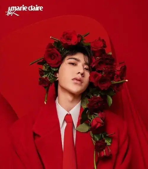 王俊凯衬衫裙大片曝出提前庆21岁生日被赞时尚表现力够大胆