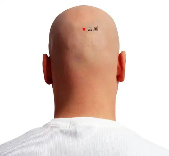 后顶穴位准确位置图